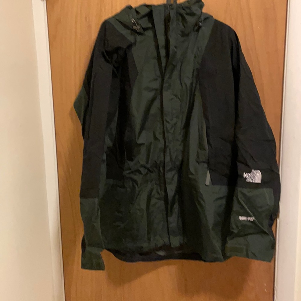 North Face mountain light jacket (goretex)